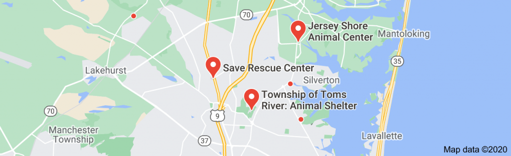 Map of animal shelters near me