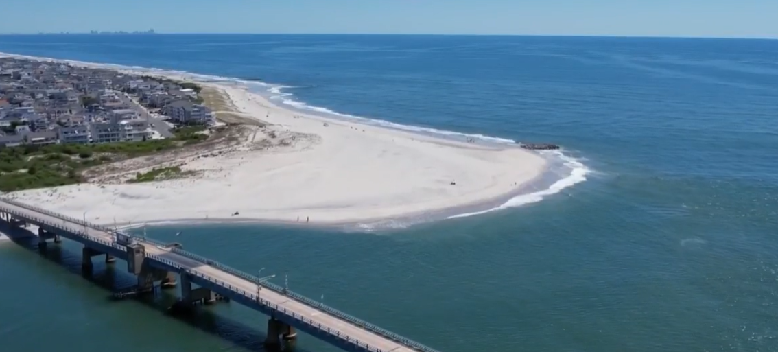 great-white-shark Sea Isle City New Jersey