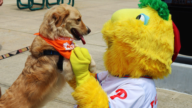 New Jersey's Minor-League Lakewood BlueClaws Schedule Grateful Dead Night