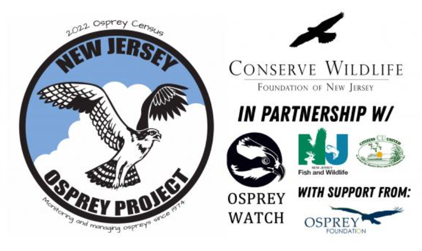 conserve-wildlife-osprey-project-new-jersey