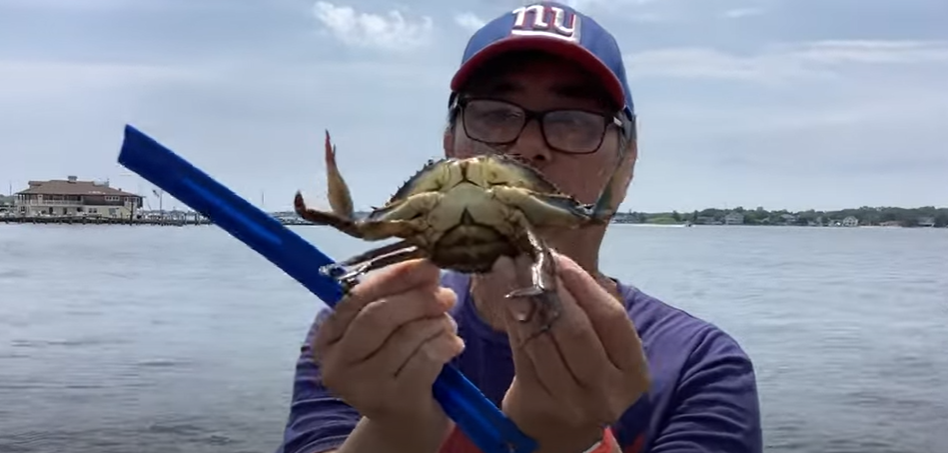 crabbing-in-Toms-River-Island-Heights-Jersey-Shore-New-Jersey-youtube