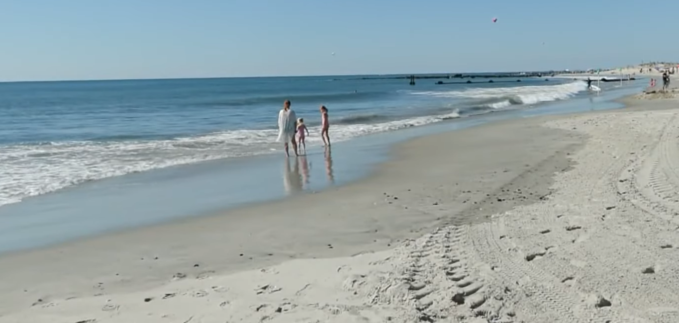 mauve-jellyfish-ocean-county-new-jersey-beaches-jersey-shore