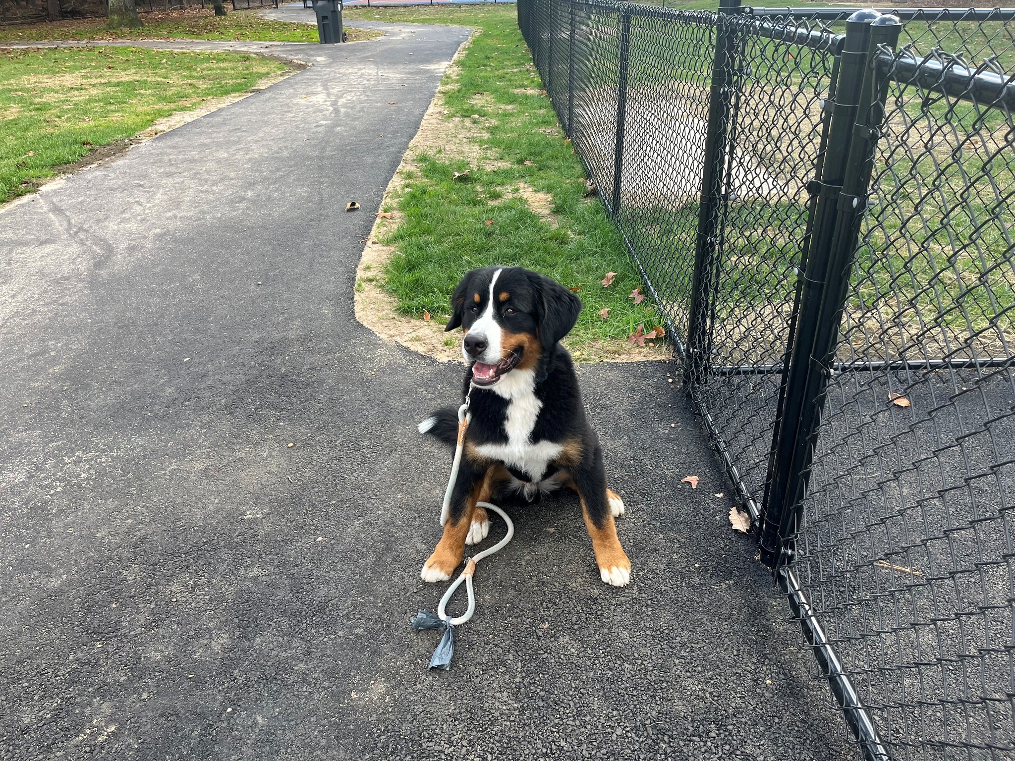 Dog Park in Toms River to Open November 1