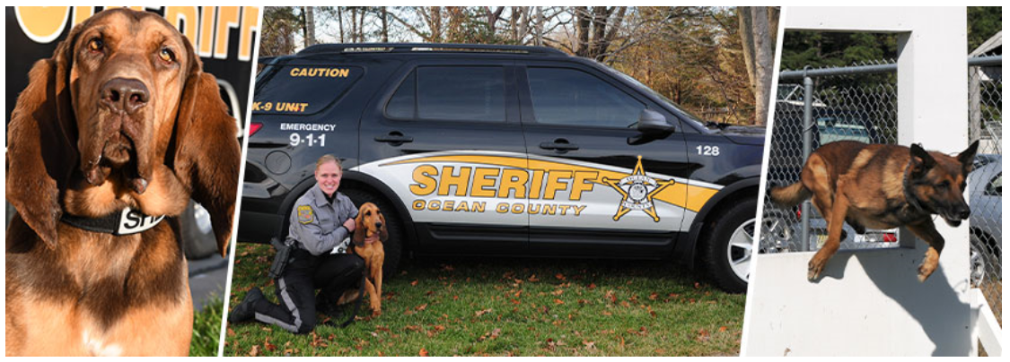 Ocean-County-Sheriffs-Office-K-9-Officers