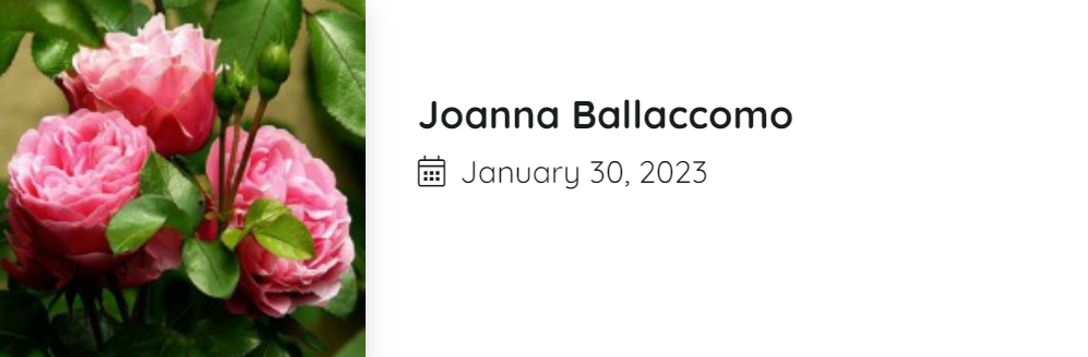 Joanna-Ballaccomo-Toms-River-obituary