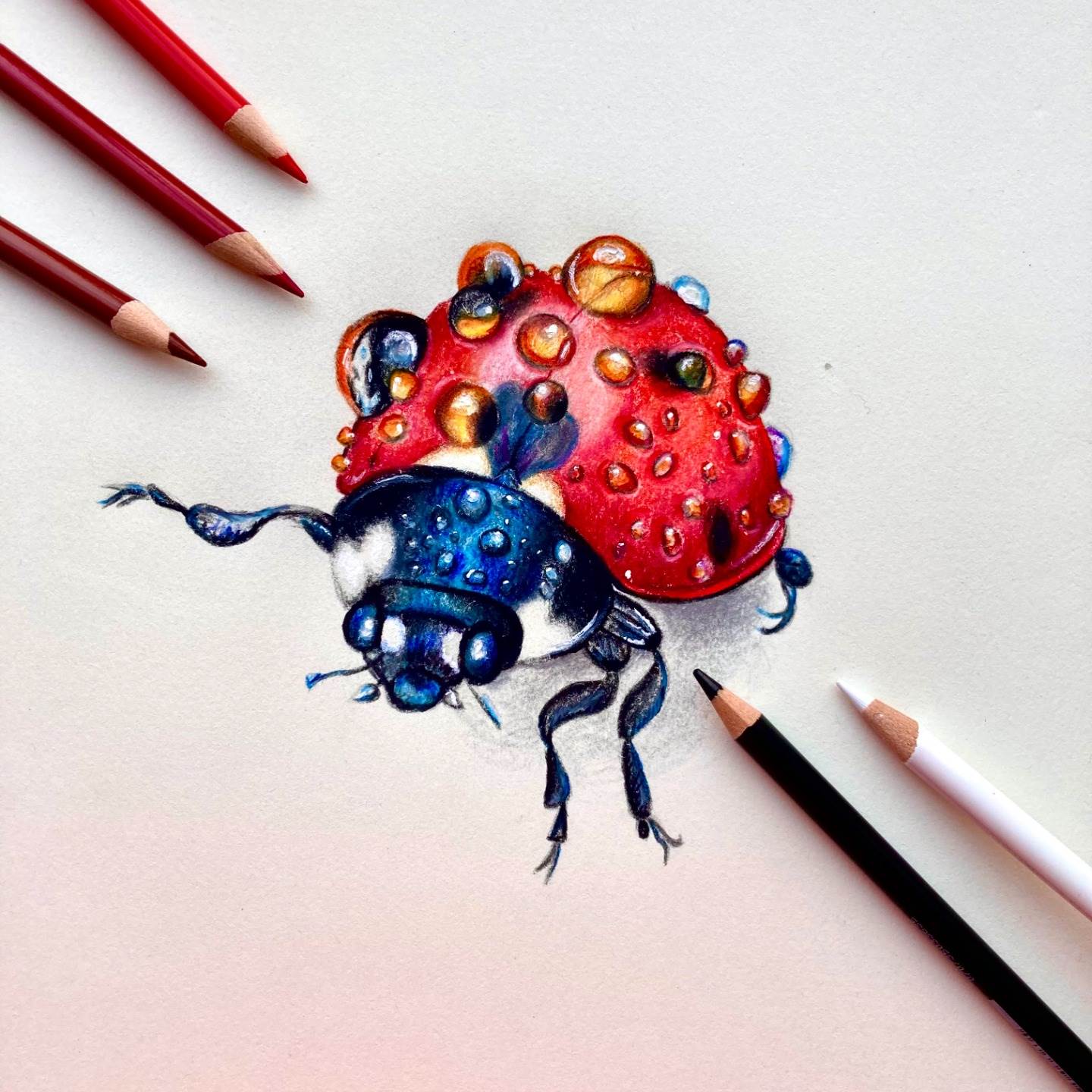 Lifelike Ladybug Leads to NJASBO Art Win for Mackenzie Fazio