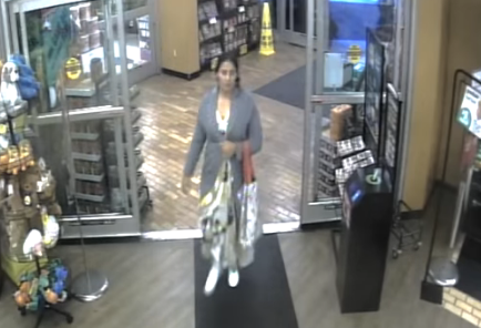 NJ State Police Seeking Help Identifying Woman in Theft Case ...