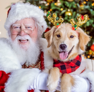 Pet Photos with Santa