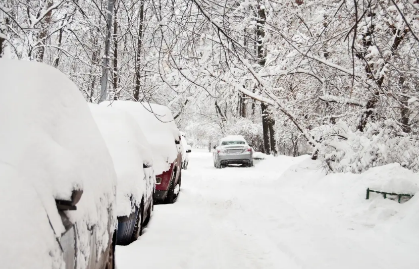 20232024 Winter Forecast for NJ Snowy Weather Ahead