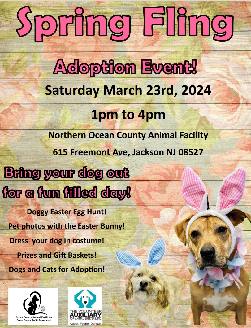 Spring Fling Pet Adoption Event 2024