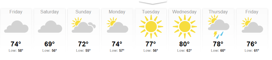 Upcoming Weather Forecast