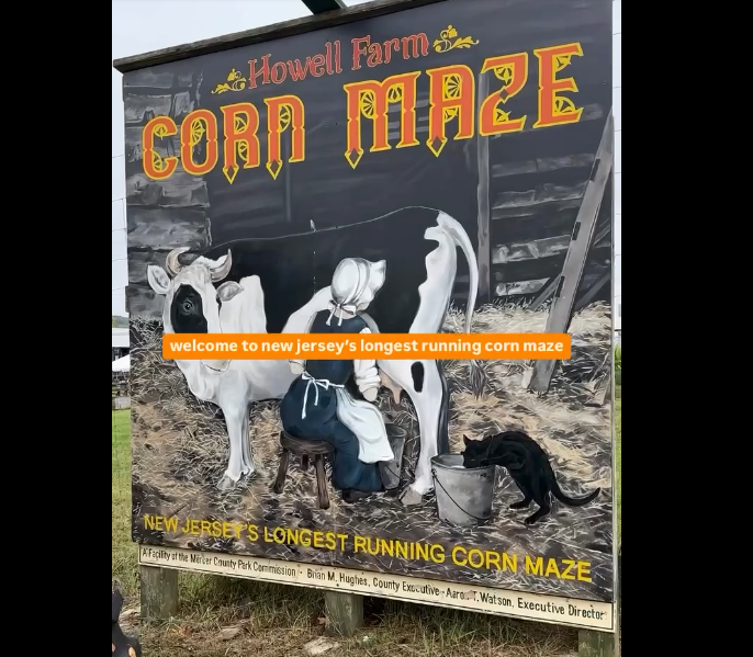 Howell Farm Corn Maze