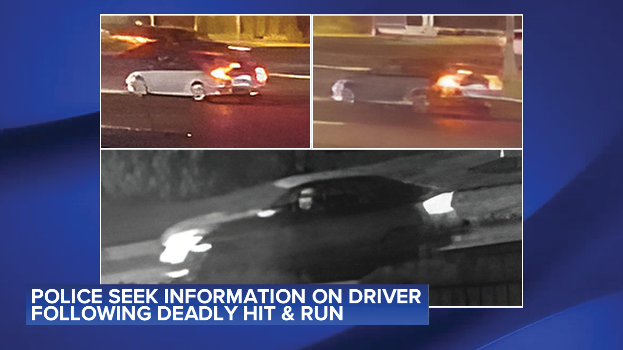 Fatal Hit-and-Run Incident in Washington Twp