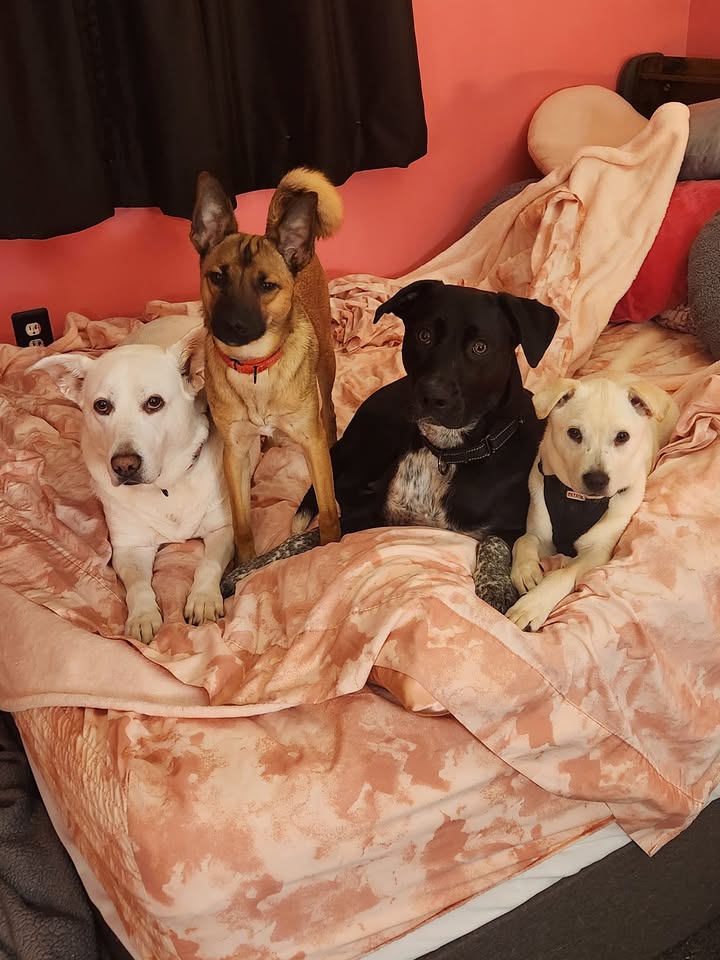 587827917_10238556440359428_9213975577708354299_n