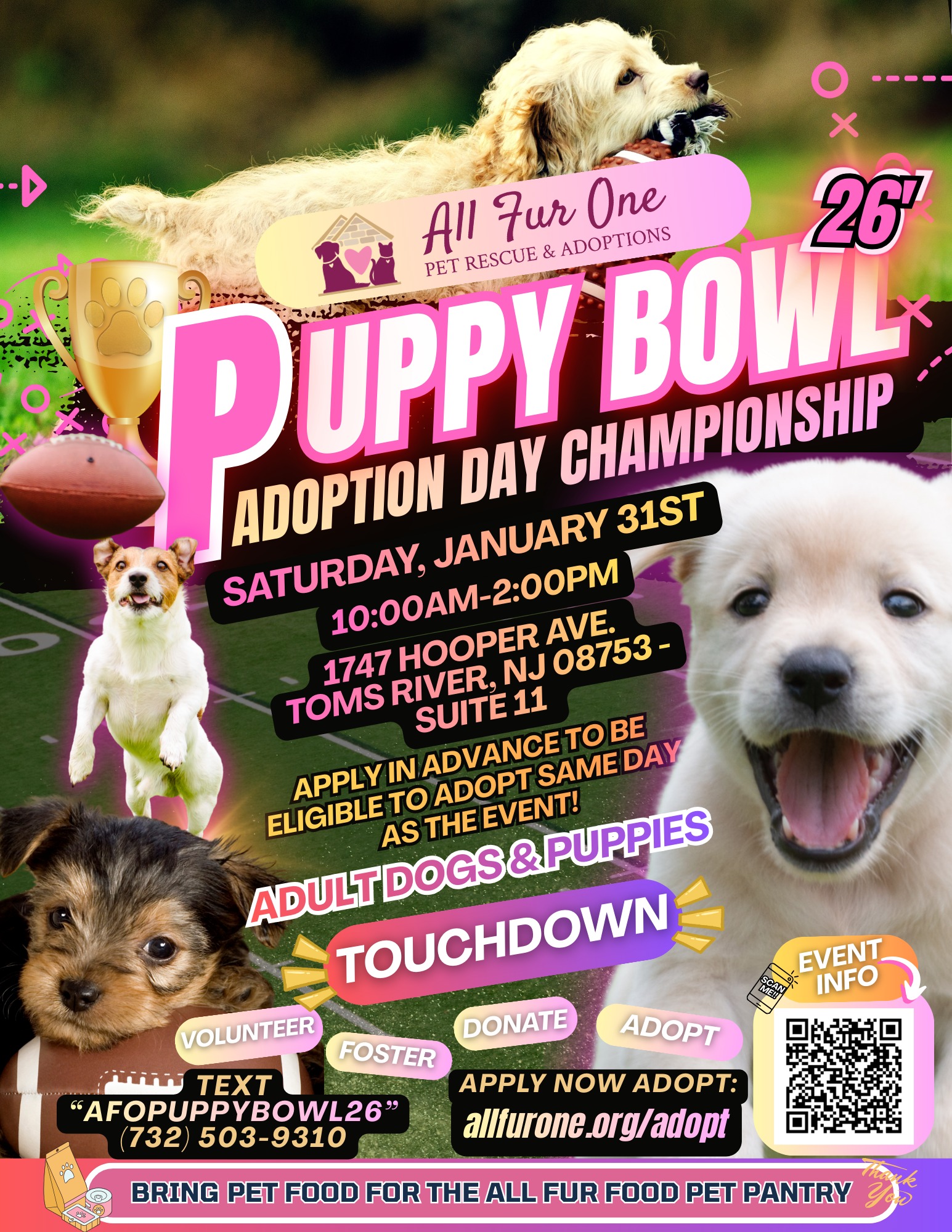 Puppy Bowl Adoption Championship in Toms River, NJ
