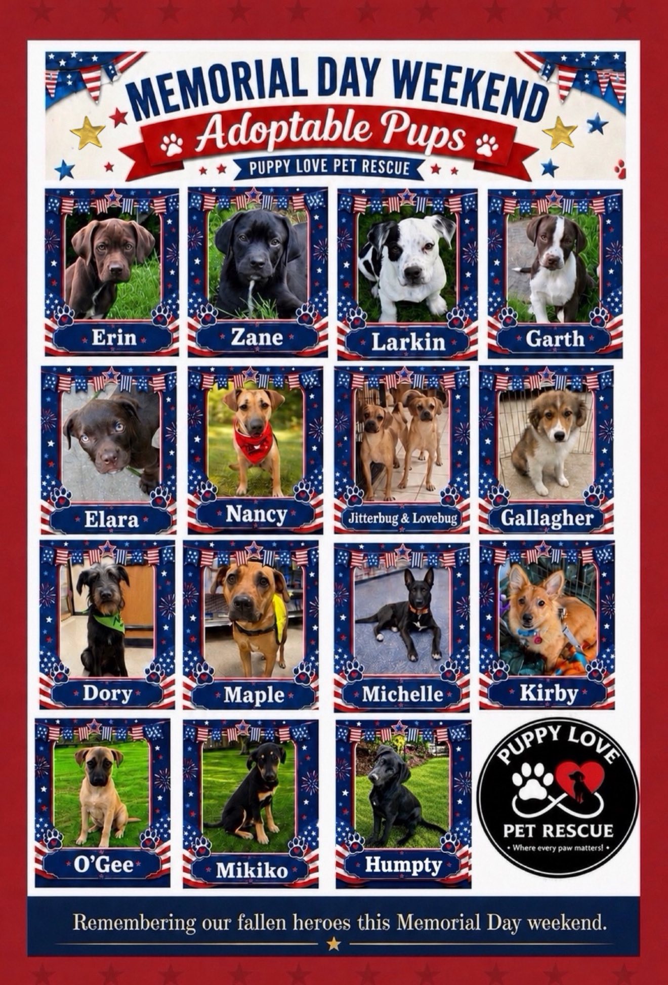 Memorial Day Weekend Puppy Adoption Event